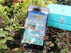 һ��΢��WP�����ߵ��԰�