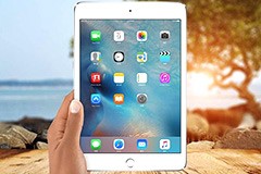 ���겻֪����ɶ��iPad mini 4��è�ؼ�