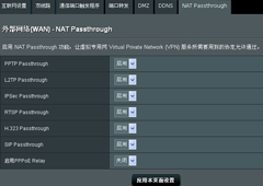 NAT Passthrough