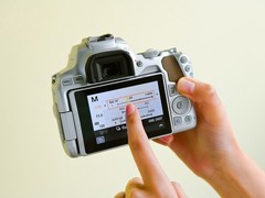 ��Ӱ�����߱ض� ���ֳ������ռ��ɽ���