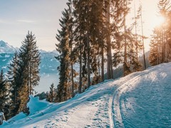 21����Ӱ�򿨼ƻ� 5��16�����⣺���