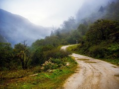 21����Ӱ�򿨼ƻ� 5��10�����⣺S�͹�ͼ