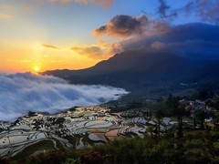 ��Ӱ���㵽���� ʮ��ʵս��������ѧ���ع�