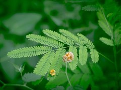 �ֻ������㹻�ã�����ѡ����������ԭ��