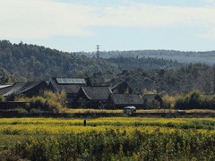 ���ܹ������� ����ȫ��΢��EOS R����֮��