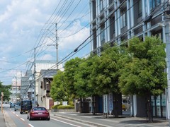 ����ȫ����΢����� ����ܲ�֪����ʮ����