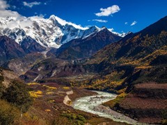 ��Ӱ���㵽���� ��ʶ���ɫ�� ��ȷӦ�ð�ƽ��