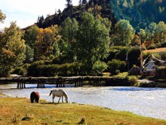 �ٶ��뼤�� ������������ȫ��������