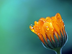 ̤��֮�� ����ĳ������ζ��