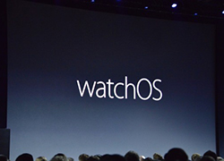 ƻֱϵͳ watchOS