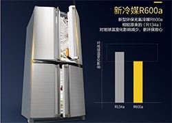 SJ-F77PV-SL 605L