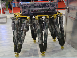 ������������� ���ܱ鲼�ڸ߾��˲�ҵ��