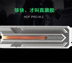 [618Ƽ]HOF PRO M.2 PCIe 4.0 1TB