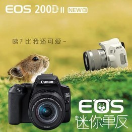Canon/ EOS 200D II EF-S 18-55 ׻