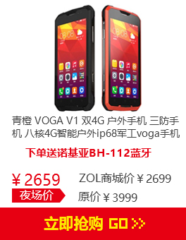  VOGA V1˫4G