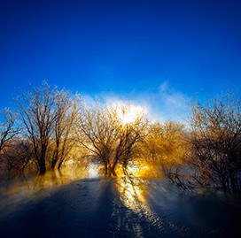 �����հ��ϡ������