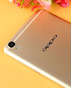 ��Щ��������о���ֻ�