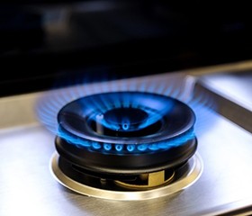 ����ȼ����