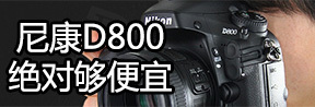 ῵D800Թ