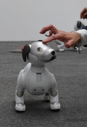 Sony aibo