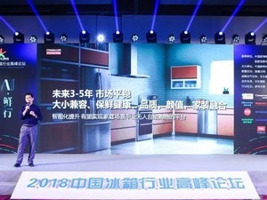 TCL�����ٻ�2018�����ҵ�ǻ۽���Ʒ��