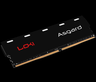 ˹ 弫W1 16GB DDR4 3000