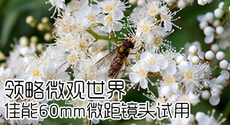 ����΢������ ����60mm΢�ྵͷ����