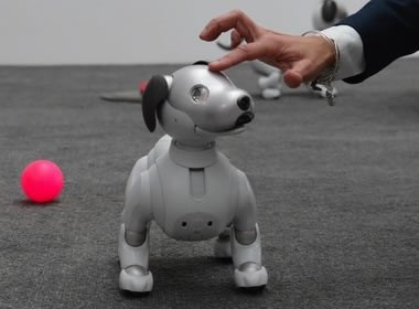 <em>1</em>����aibo������