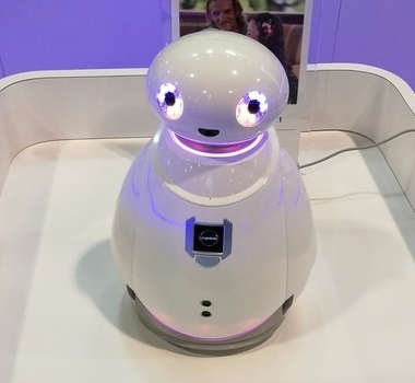 <b>����</b>�����籩����������