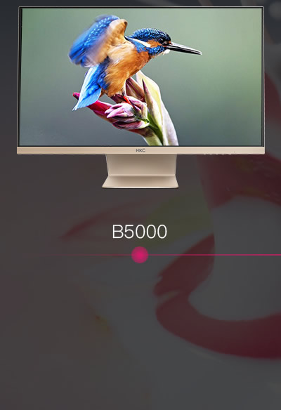 B5000