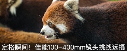 ˲䣡100-400mmͷսԶ