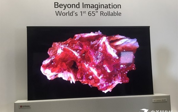 ������ʾ+8K���㣡OLED�ӽ硰�ؾ���̽չ