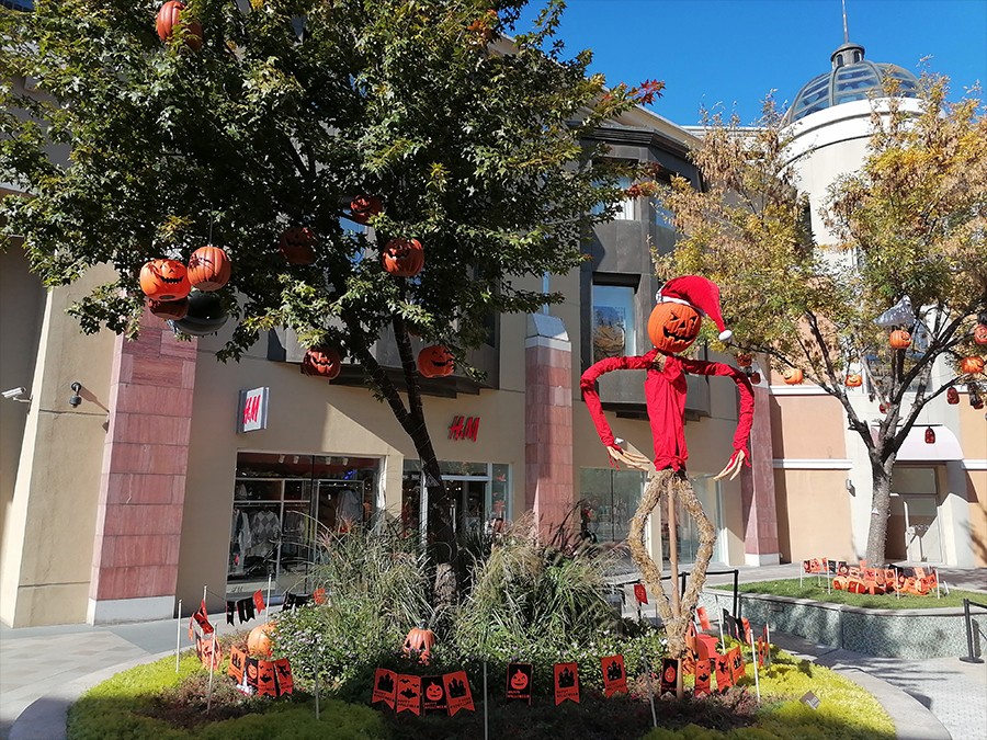 ��Ϊ����10��ѡ����