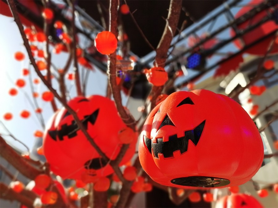 ��Ϊ����10��ѡ����