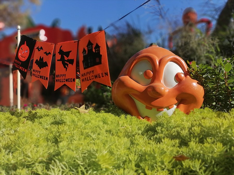 ��Ϊ����10��ѡ����