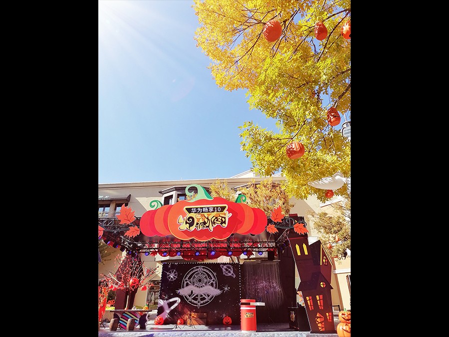 ��Ϊ����10��ѡ����