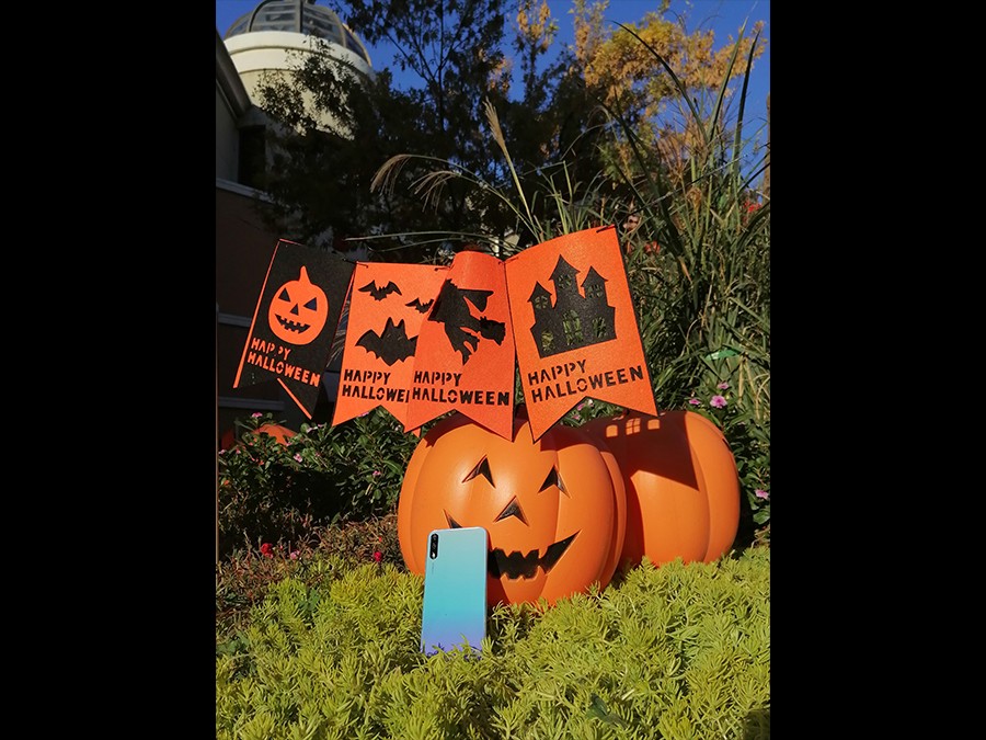 ��Ϊ����10��ѡ����